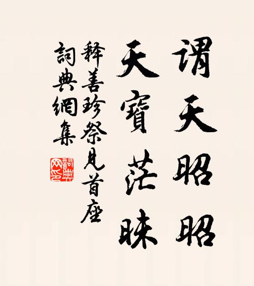 释善珍谓天昭昭，天宝茫昧书法作品欣赏