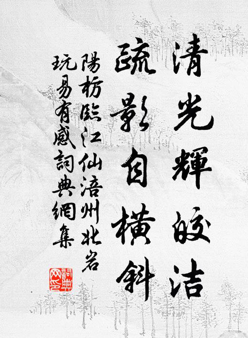 阳枋清光辉皎洁，疏影自横斜书法作品欣赏