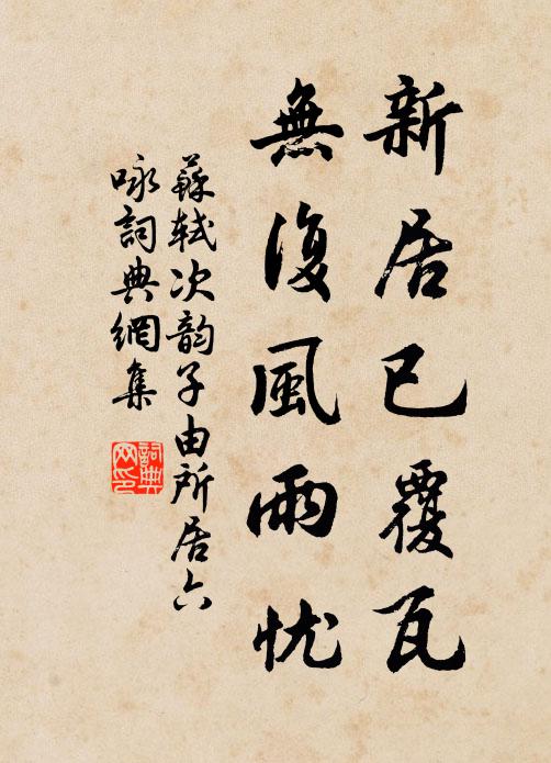 苏轼新居已覆瓦，无复风雨忧书法作品欣赏