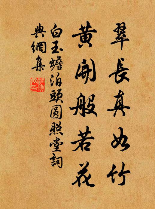 白玉蟾翠长真如竹，黄开般若花书法作品欣赏
