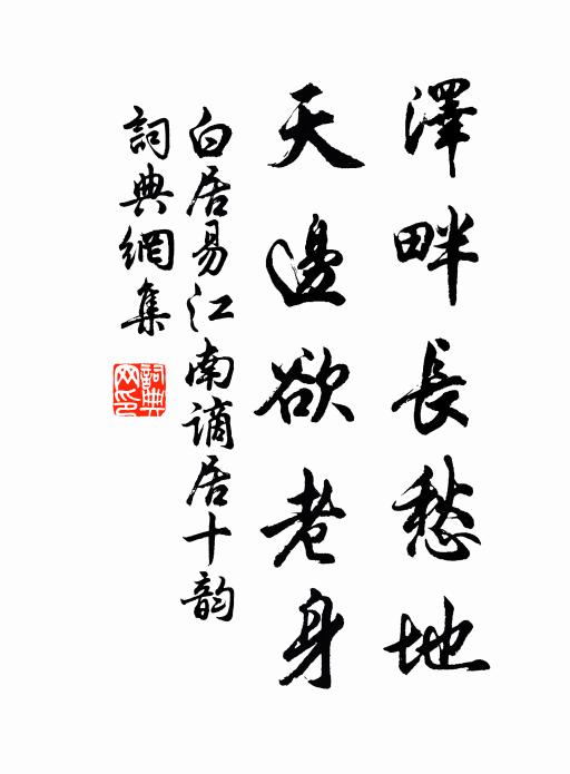 白居易泽畔长愁地，天边欲老身书法作品欣赏
