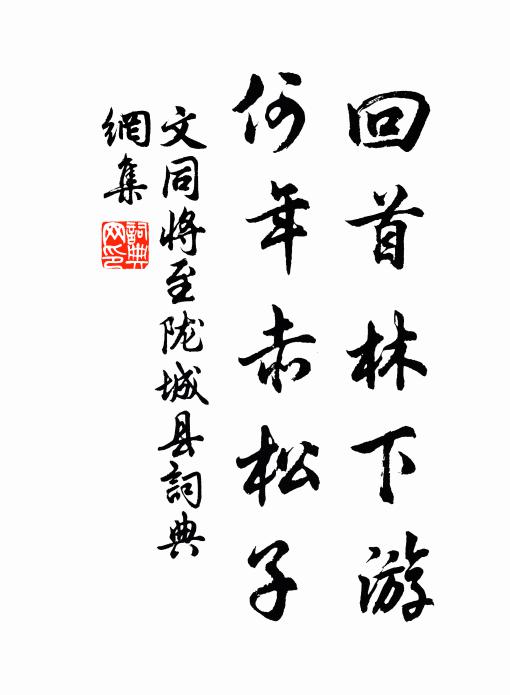 文同回首林下游，何年赤松子书法作品欣赏