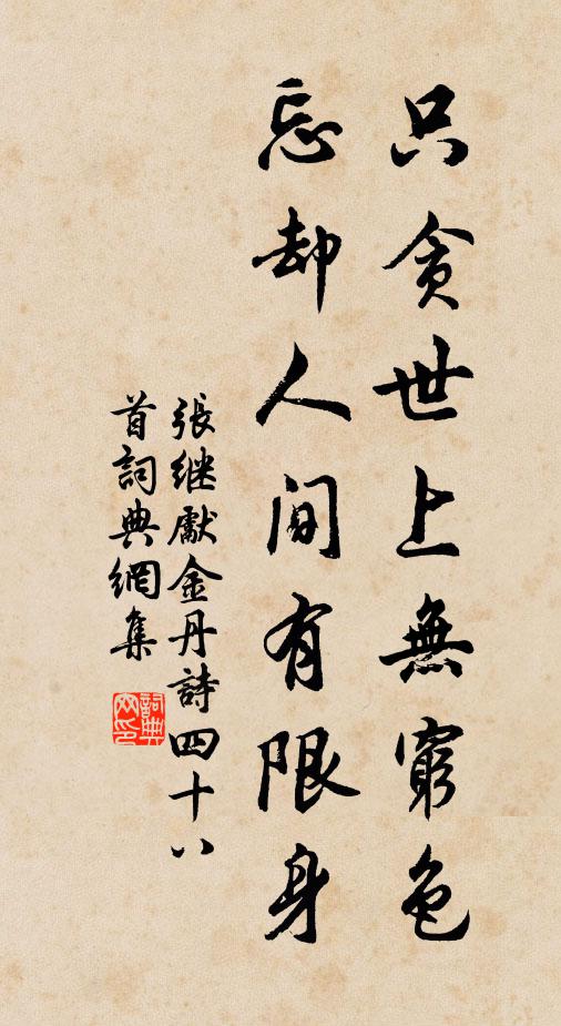 张继先只贪世上无穷色，忘却人间有限身书法作品欣赏