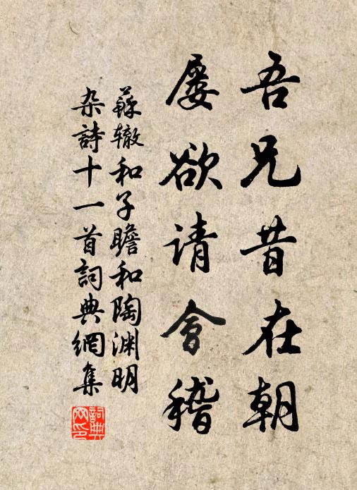 苏辙吾兄昔在朝，屡欲请会稽书法作品欣赏
