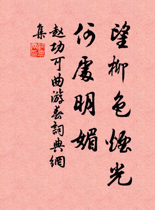 赵功可望柳色烟光，何处明媚书法作品欣赏