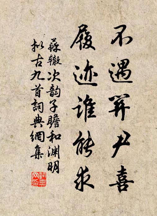 苏辙不遇关尹喜，履迹谁能求书法作品欣赏