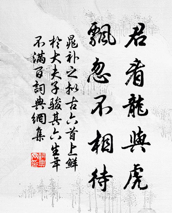 晁补之君看龙与虎，飘忽不相待书法作品欣赏