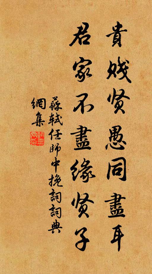 苏轼贵贱贤愚同尽耳，君家不尽缘贤子书法作品欣赏