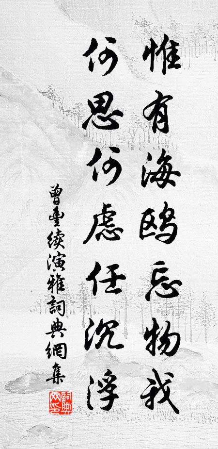 曾丰惟有海鸥忘物我，何思何虑任沉浮书法作品欣赏
