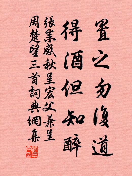 张耒置之勿复道，得酒但知醉书法作品欣赏