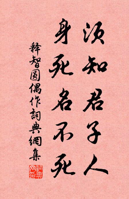 释智圆须知君子人，身死名不死书法作品欣赏