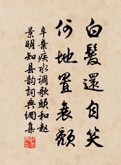 辛弃疾白发还自笑，何地置衰颓书法作品欣赏