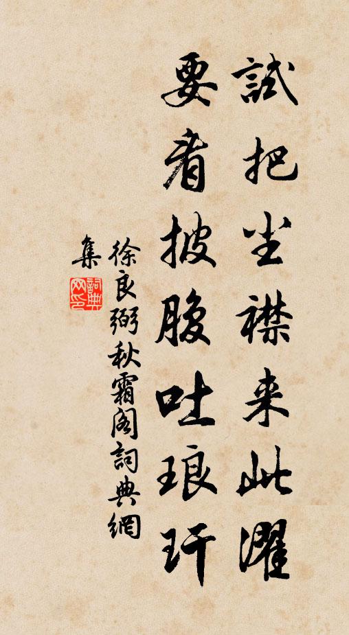 徐良弼试把尘襟来此濯，要看披腹吐琅玕书法作品欣赏