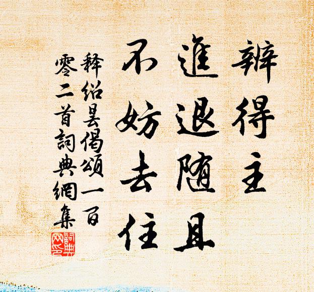 释绍昙辨得主，进退随且，不妨去住书法作品欣赏