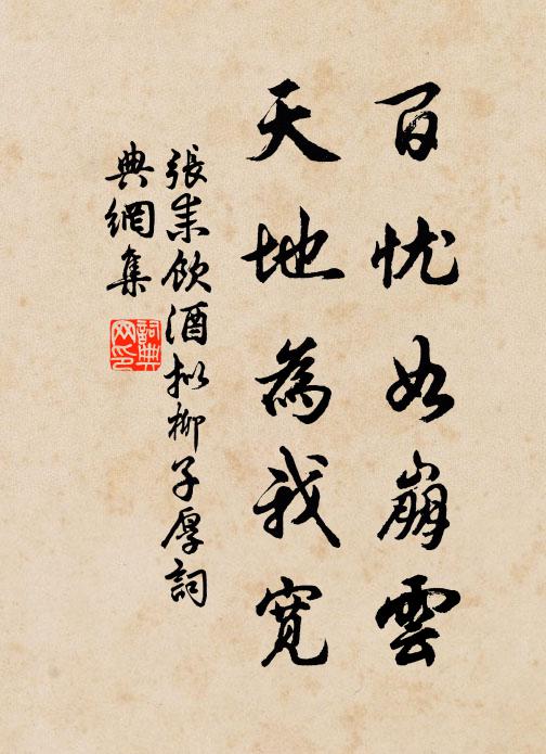 张耒百忧如崩云，天地为我宽书法作品欣赏