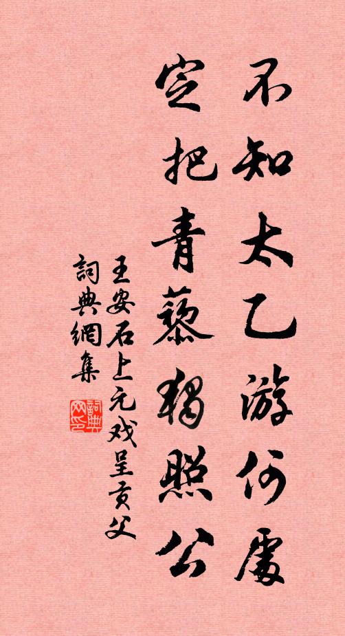 王安石不知太乙游何处，定把青藜独照公书法作品欣赏