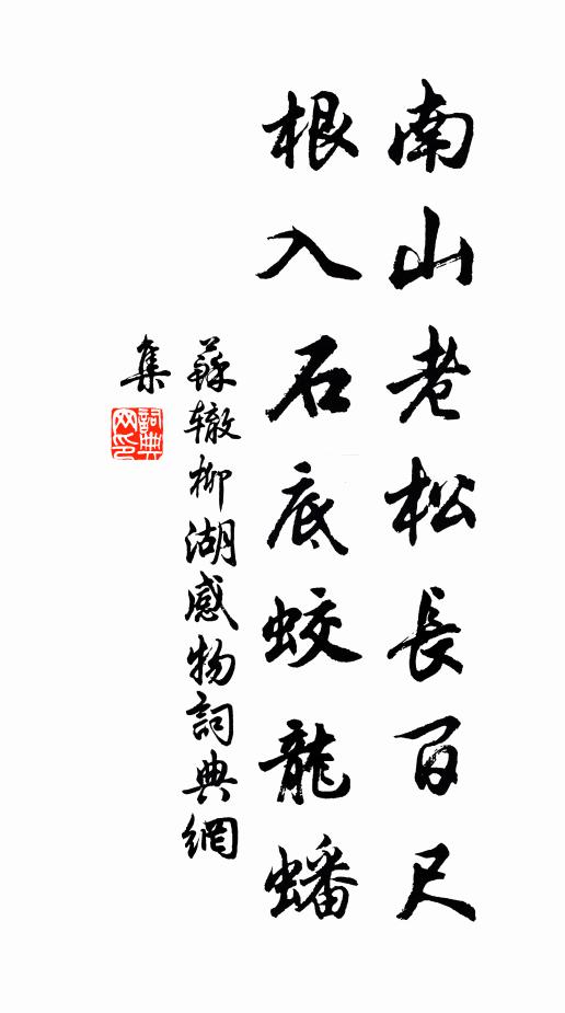 苏辙南山老松长百尺，根入石底蛟龙蟠书法作品欣赏