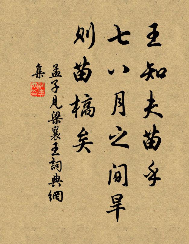 佚名王知夫苗乎？七八月之间旱，则苗槁矣书法作品欣赏