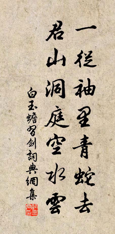 白玉蟾一从袖里青蛇去，君山洞庭空水云书法作品欣赏