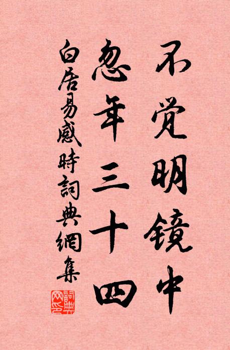 白居易不觉明镜中，忽年三十四书法作品欣赏