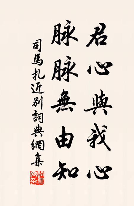 司马扎君心与我心，脉脉无由知书法作品欣赏