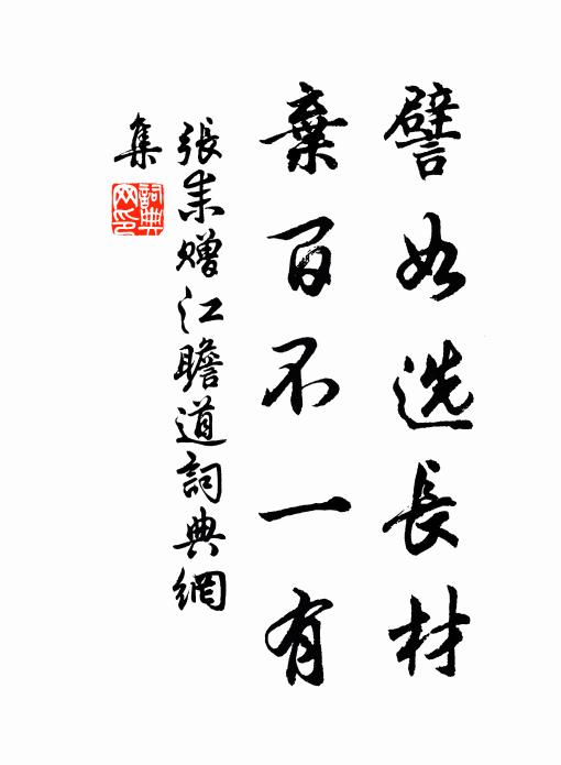 张耒譬如选长材，弃百不一有书法作品欣赏