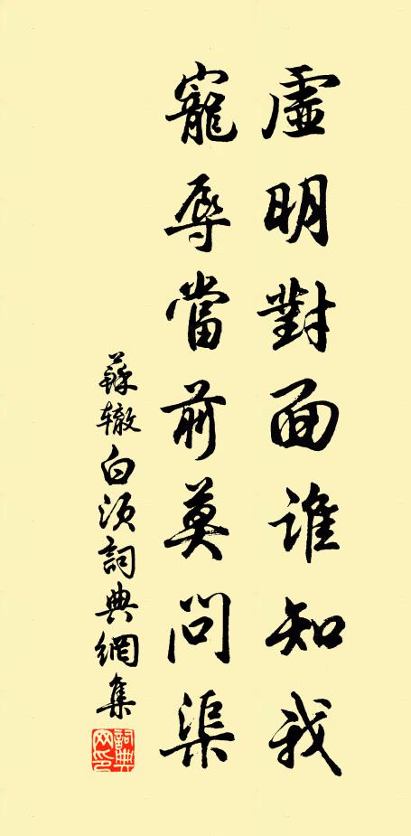 苏辙虚明对面谁知我，宠辱当前莫问渠书法作品欣赏