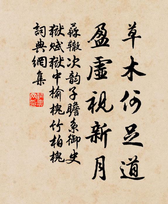 苏辙草木何足道，盈虚视新月书法作品欣赏