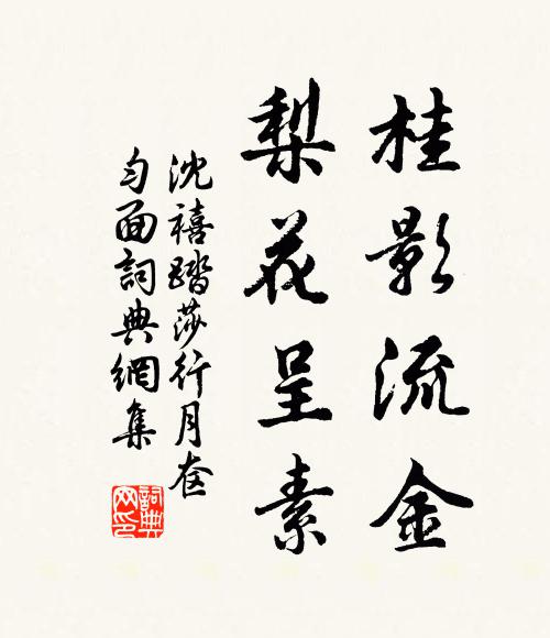 沈禧桂影流金，梨花呈素书法作品欣赏