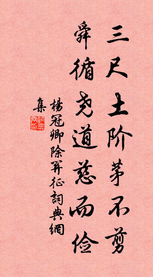 杨冠卿三尺土阶茅不剪，舜循尧道慈而俭书法作品欣赏