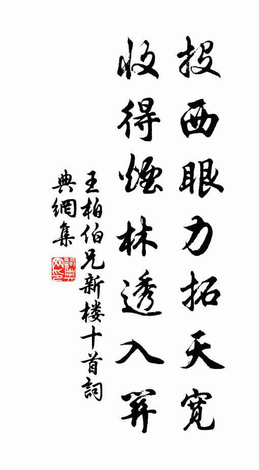 王柏投西眼力拓天宽，收得烟林透入关书法作品欣赏
