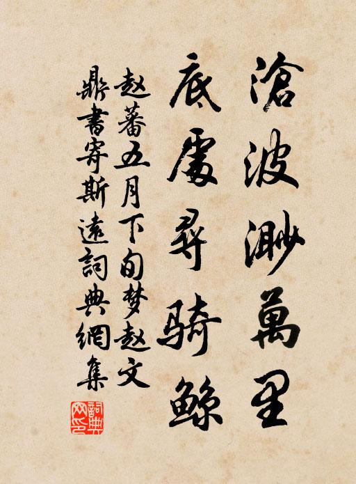 赵蕃沧波渺万里，底处寻骑鲸书法作品欣赏