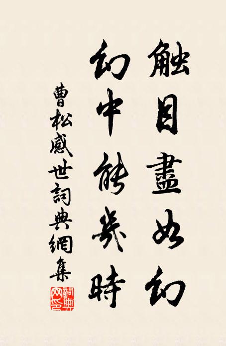 曹松触目尽如幻，幻中能几时书法作品欣赏