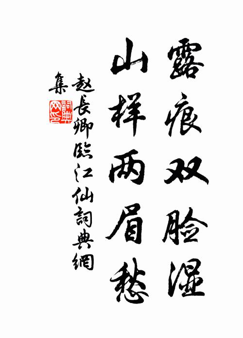 赵长卿露痕双脸湿，山样两眉愁书法作品欣赏