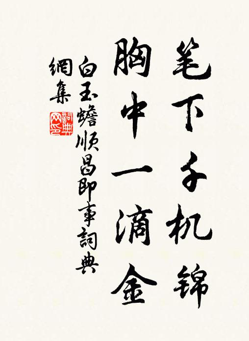 白玉蟾笔下千机锦，胸中一滴金书法作品欣赏