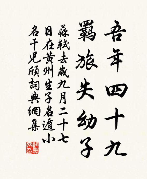 苏轼吾年四十九，羁旅失幼子书法作品欣赏