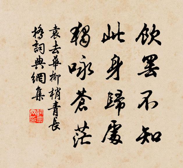 袁去华饮罢不知，此身归处，独咏苍茫书法作品欣赏