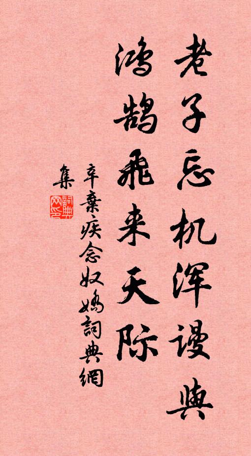 辛弃疾老子忘机浑谩与，鸿鹄飞来天际书法作品欣赏