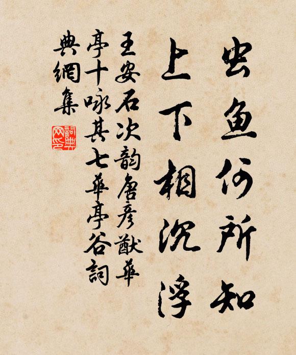 王安石虫鱼何所知，上下相沉浮书法作品欣赏