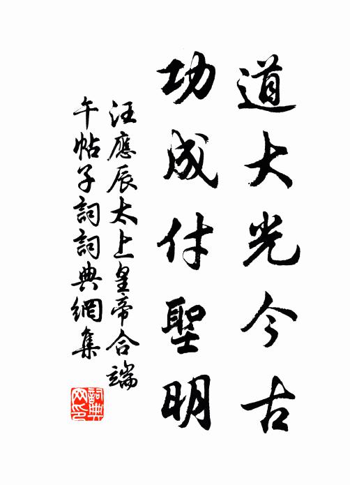 汪应辰道大光今古，功成付圣明书法作品欣赏