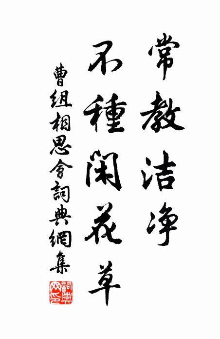曹组常教洁净，不种闲花草书法作品欣赏
