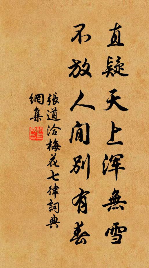 张道洽直疑天上浑无雪，不放人閒别有春书法作品欣赏