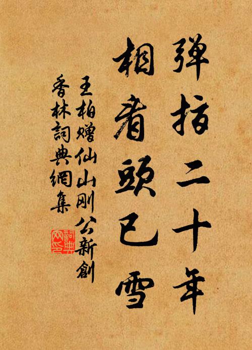 王柏弹指二十年，相看头已雪书法作品欣赏