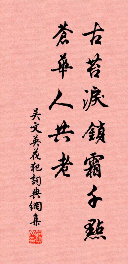 吴文英古苔泪锁霜千点，苍华人共老书法作品欣赏