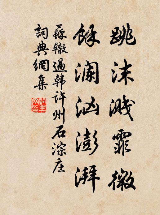 苏辙跳沫溅霏微，余澜汹澎湃书法作品欣赏