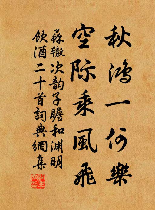 苏辙秋鸿一何乐，空际乘风飞书法作品欣赏