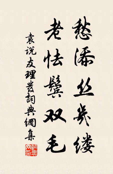 袁说友愁添丝几缕，老怯鬓双毛书法作品欣赏