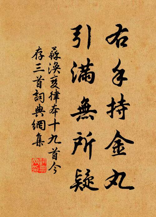 苏涣右手持金丸，引满无所疑书法作品欣赏