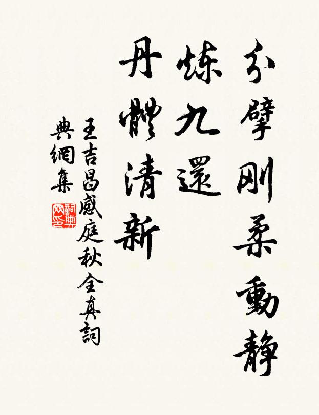 王吉昌分擘刚柔动静，炼九还、丹体清新书法作品欣赏