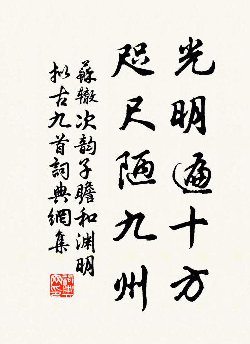 苏辙光明遍十方，咫尺陋九州书法作品欣赏